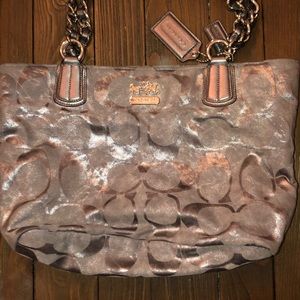 Silver coach purse